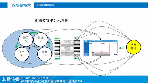 传统产业升级新引擎 和数软件以区块链技术引领数字服务新篇章